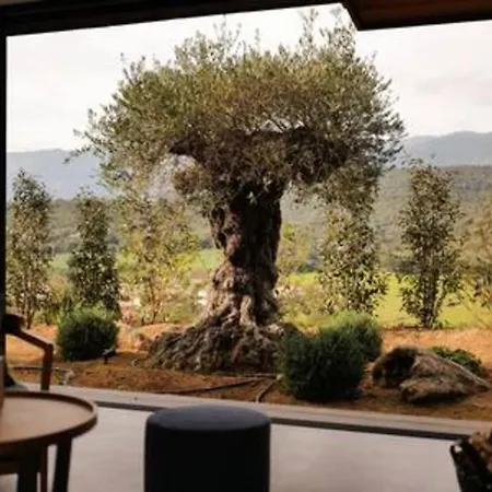 Wooden Horizon - Montagne 18 Pers Porto Vecchio