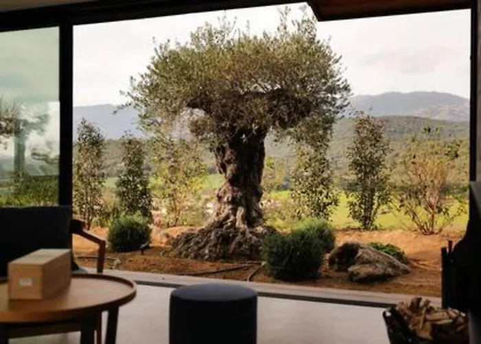 Wooden Horizon - Montagne 18 Pers Porto Vecchio